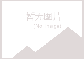 四方台区夏岚机械有限公司